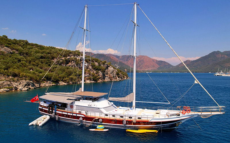 Boat and cruises 