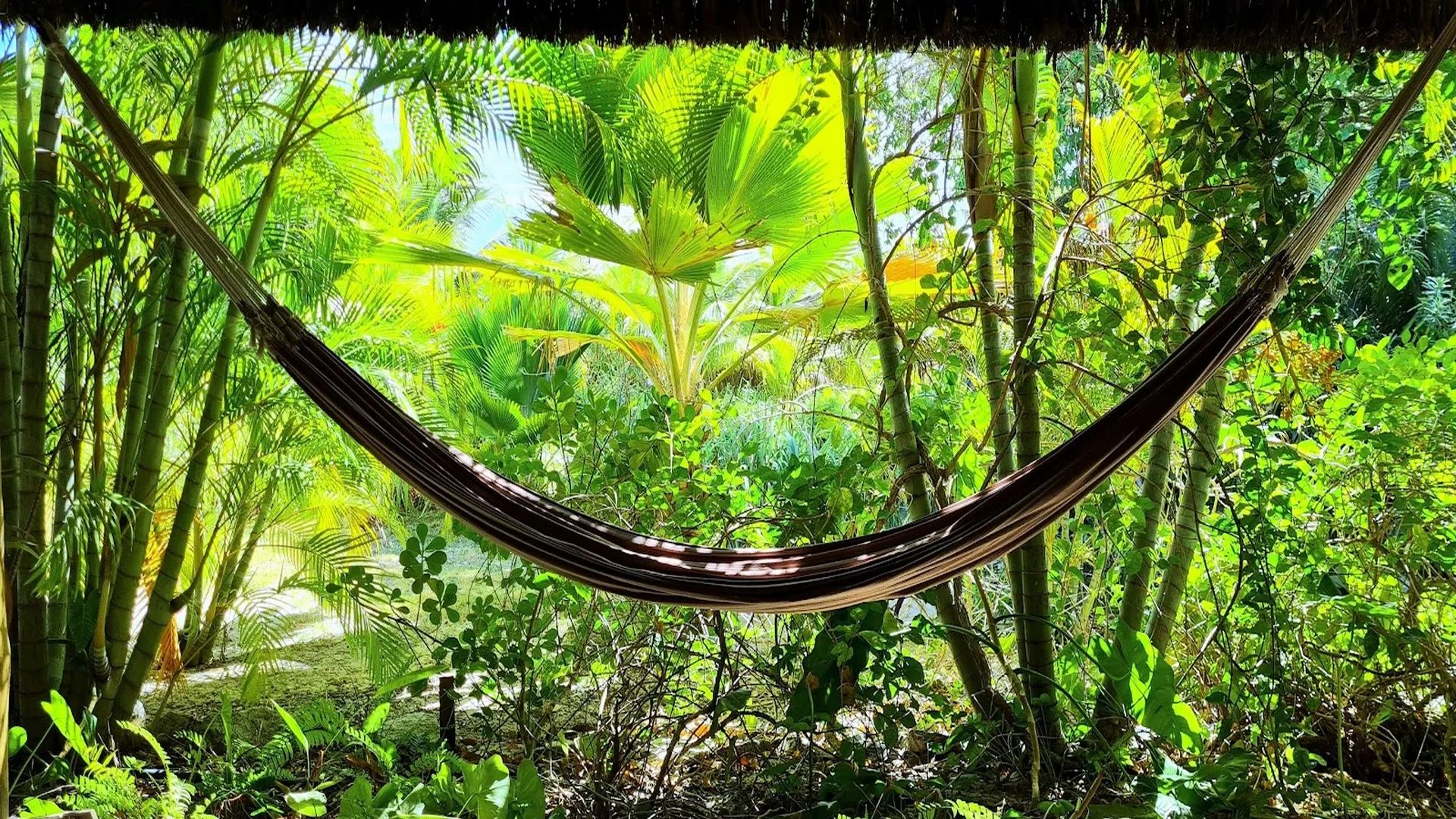 Ecolodge Brazil 10