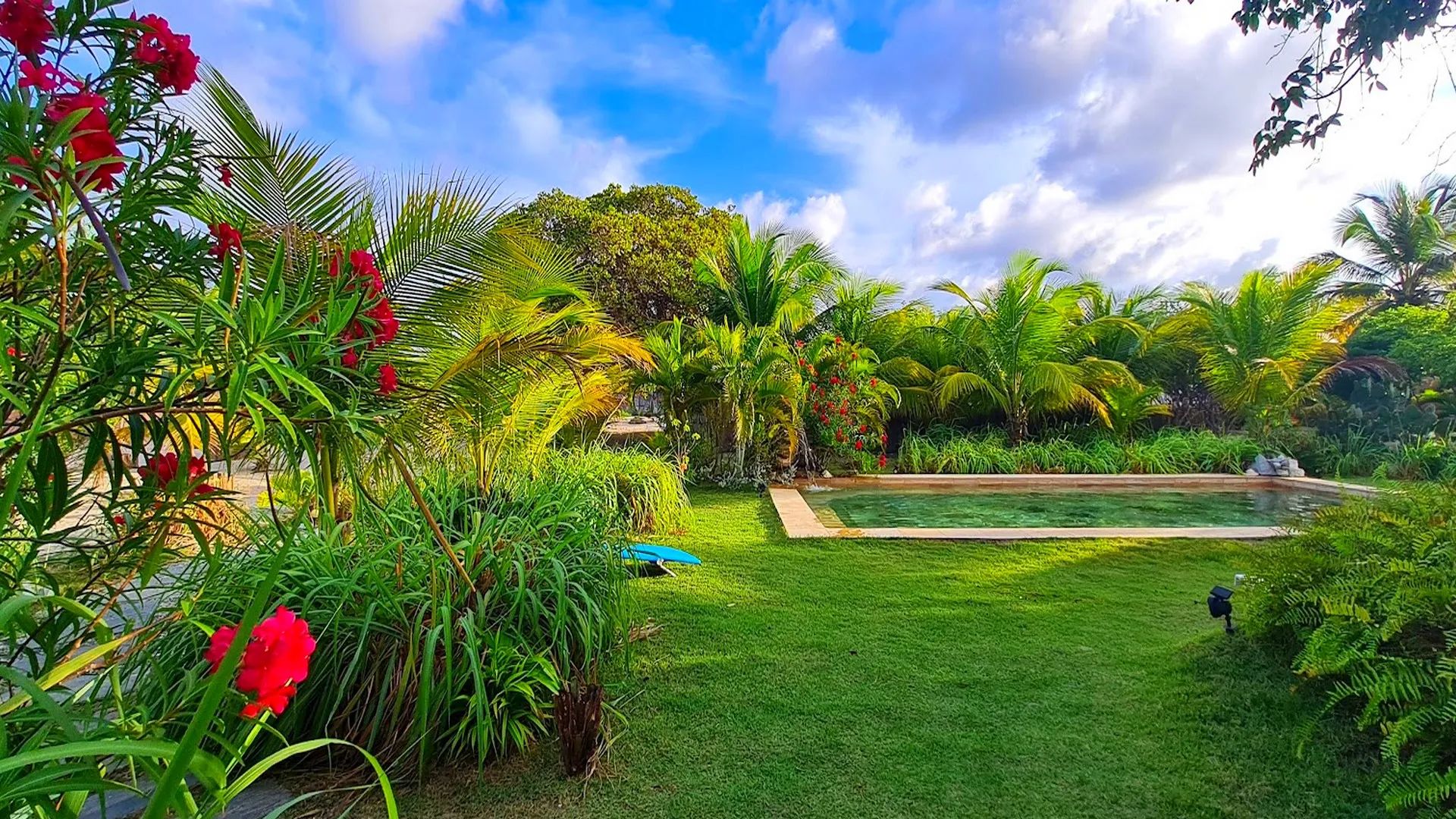 Ecolodge Brazil 8