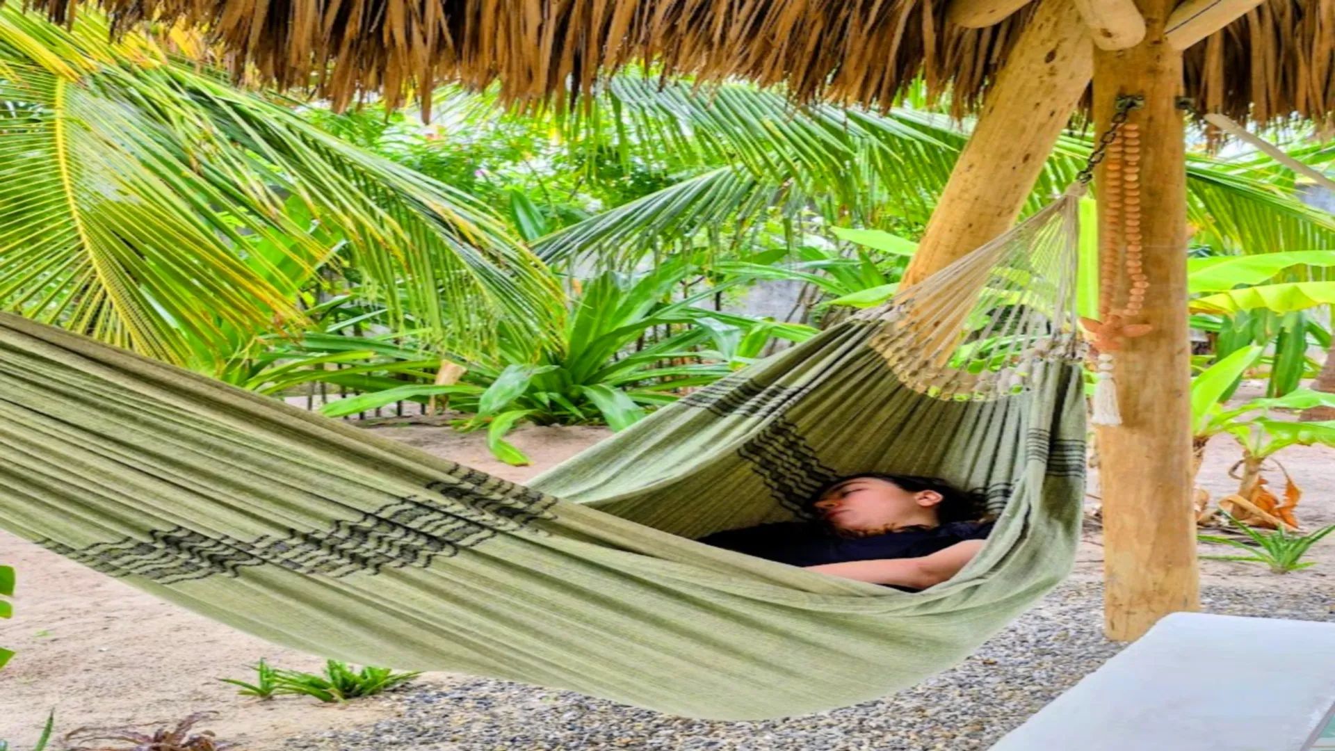 Ecolodge Brazil 14