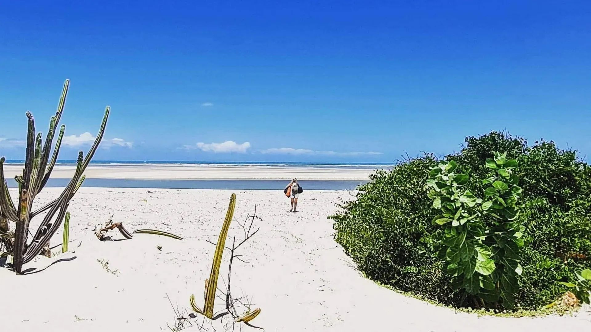 Ecolodge Brazil 3