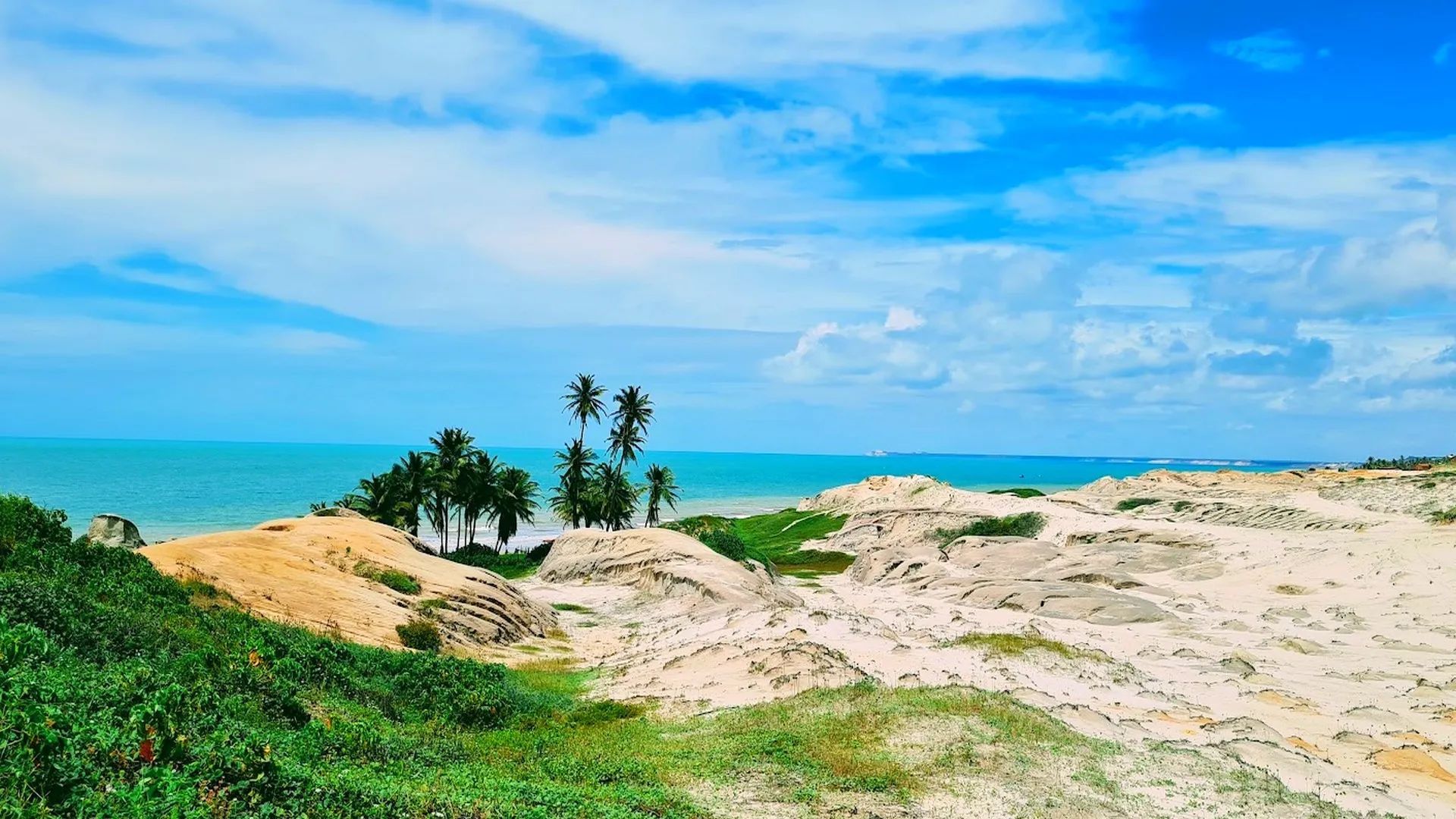  Capoeira & Yoga Northeast Brazil 7